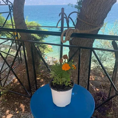 Villa Poseidonia The Greek Lifestyle *